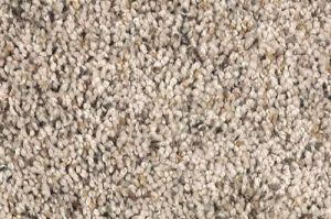 Carpet & Rugs